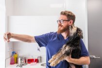 Позитивный врач-ветеринар фотографирует себя с Йоркширским терьером, облизывающим щеку в ветеринарной клинике — стоковое фото