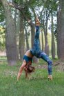 Vista lateral de hembra flexible en ropa deportiva realizando pose Eka Pada Urdhva Dhanurasana durante la sesión de yoga en parque durante el día - foto de stock