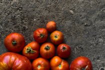 Top view closeup of a pile of red tomatoes on the ground — Stock Photo