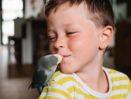 Crop positive Junge mit kleinen grau gefiederten Vogel sitzt auf der Schulter und küsst den Mund — Stockfoto
