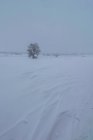 Vista panoramica del pendio del monte con alberi secchi e neve sotto il cielo chiaro in inverno — Foto stock