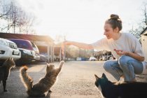 Full body of positive kind female sitting on haunches and feeding hungry cats on street — Stock Photo