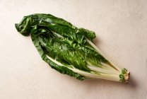 A bunch of green chard on background. Vegan organic diet concept — Stock Photo