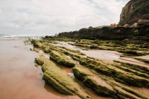 Spectacular view of rough mountain with moss on sandy shore against ocean under cloudy sky in Cantabria Spain — Stock Photo
