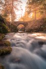 Pittoresco ponte di pietra paesaggio sul fiume nel parco autunnale in Sierra de Guadarrama in Spagna durante il giorno — Foto stock