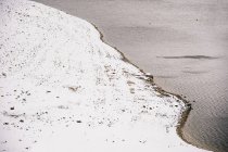 Scenery of rippling river flowing through snowy shores — Stock Photo