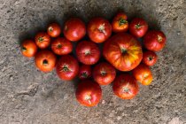 Top view closeup of a pile of red tomatoes on the ground — Stock Photo