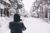 Вид ззаду на невпізнавану людину в верхньому одязі, що стоїть на сніжному шляху серед снігових хвойних дерев в зимовому лісі, фотографуючи пейзаж з мобільним телефоном — стокове фото