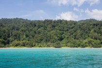 Pintoresca vista de la selva tropical con palmeras exóticas creciendo en la orilla bañadas por el mar azul ondulante en Malasia - foto de stock