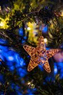 Festlicher Stern hängt am Zweig des Nadelbaums, geschmückt mit Girlanden für die Weihnachtsfeier — Stockfoto
