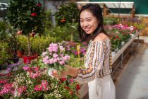 Sincère jeune femme ethnique shopper sélectionnant des fleurs en fleurs avec un parfum agréable dans le magasin de jardin en journée — Photo de stock