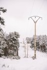 Fila di pali con fili elettrici situati tra conifere innevate nei boschi nelle giornate invernali nuvolose — Foto stock