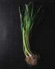 From above of fresh raw leeks with green stems placed on black surface — Stock Photo