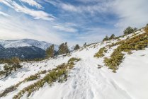 Paysage pittoresque de vallée enneigée avec des roches situées en zone montagneuse en hiver sous un ciel bleu nuageux en plein jour — Photo de stock