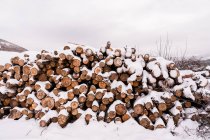 Pile of timber logs under snow in hilly winter valley under cloudy sky — Stock Photo