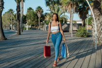 Allegro giovane acquirente afro-americano femminile con borse della spesa guardando lontano mentre camminava per strada — Foto stock