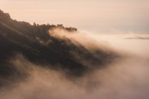 Vue panoramique de Pedriza avec des arbres verts luxuriants poussant sur la chaîne de montagnes de Guadarrama sous un ciel brumeux à l'aube en Espagne — Photo de stock