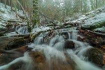 Rápida corriente fluvial que fluye a través de rocas ásperas entre árboles nevados en el Parque Nacional Sierra de Guadarrama en Madrid - foto de stock