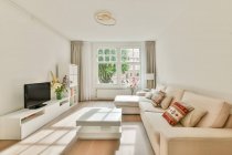 Interior de la amplia sala de estar con cómodo sofá con almohadas y elementos elegantes en apartamento moderno en día soleado - foto de stock