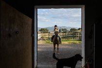 Smiling female in protective helmet sitting on horse against dog silhouette in stall in countryside riding school — Stock Photo