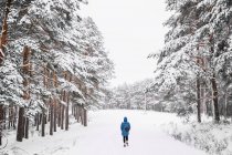 Back view of unrecognizable female traveler in warm outerwear walking on pathway in snowy woods in winter day — Stock Photo