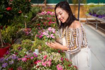 Sincero jovem comprador étnico feminino selecionando flores floridas com cheiro agradável na loja de jardim durante o dia — Fotografia de Stock