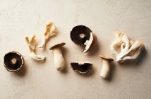 Vista superior de vários cogumelos no fundo bege. Conceito de colheita florestal — Fotografia de Stock