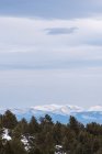 Pintoresco paisaje de verde bosque de coníferas contra montañas nevadas bajo el cielo nublado durante el día - foto de stock