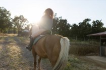Vista posteriore dello stallone da equitazione femminile irriconoscibile con cappotto marrone liscio su terreni accidentati contro il monte in campagna — Foto stock