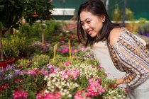 Side view of cheerful young ethnic female shopper leaning forward while picking blossoming flowers in garden center — Stock Photo