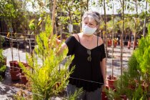 Вид збоку зрілої жінки покупця в текстильній масці, збираючи зелені дерева в горщиках в садовому магазині в сонячний день — стокове фото
