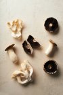 Top view of various mushrooms on beige background. Forest harvest concept — Stock Photo