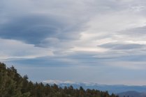 Paesaggio pittoresco di foresta verde di conifere contro montagne innevate sotto cielo nuvoloso durante il giorno — Foto stock