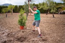 Horticultor adulto masculino con azada preparando tierra para plantar pino contra montañas a la luz del día - foto de stock