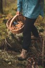 High angle of crop unrecognizable female carrying wicker basket with edible mushrooms in woods — Stock Photo