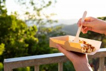 Zugeschnittene unkenntliche Person isst leckere belgische Waffeln mit Schlagsahne in Take-away-Box gegen Berge im Gegenlicht — Stockfoto