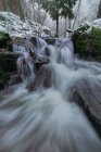 Rivière rapide qui coule à travers des rochers rugueux parmi les arbres enneigés dans le parc national de Sierra de Guadarrama à Madrid — Photo de stock