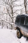 Іржавий старий позашляховик на снігу серед листяних дерев, що ростуть в зимовому лісі — стокове фото