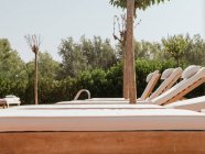 Chaises longues blanches placées en rangée près de la piscine dans le jardin verdoyant de la station par une journée ensoleillée en été — Photo de stock