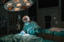 Veterinario in guanti sterili con pinzette chirurgiche e forbici che operano animali anonimi in ospedale — Foto stock