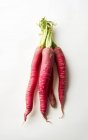 Red daikon radish on white background. Healthy asian ingredient for vegetarian dish — Stock Photo