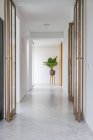 Plante exotique avec de grandes feuilles vertes en pot placées dans le couloir de la villa contemporaine par une journée ensoleillée — Photo de stock