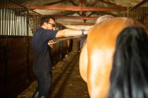 Side view of adult male in sunglasses adjusting saddle on mare back in stall of riding school — Stock Photo