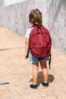 Вид ззаду на невпізнавану шкільну дитину з рюкзаком, що стоїть на тротуарі на сонячному світлі — стокове фото