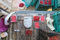 Верхний вид спелой сладкой малины в пластиковых контейнерах, расположенных рядом с цифровыми весами для измерения веса — стоковое фото