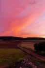 Landschaft Ansicht des Weges zwischen landwirtschaftlichen Feldern mit Bäumen unter bewölktem Himmel in der Landschaft bei Sonnenuntergang — Stockfoto