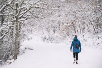 Обратный вид на неузнаваемую женщину-путешественницу в теплой верхней одежде, идущую по тропинке в снежных лесах в зимний день — стоковое фото