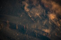 Лавовые взрывы кратера возле леса. Извержение вулкана Кумбре-Вьеха на Канарских островах, Испания, 2021 г. — стоковое фото