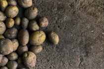 Vue de dessus gros plan d'un tas de pommes de terre sur le sol — Photo de stock
