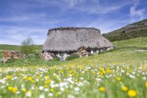 Piccola casa con muri di pietra squallida e tetto di paglia situata sulla verde collina erbosa sotto il cielo nuvoloso blu a Saliencia Somiedo in Spagna — Foto stock